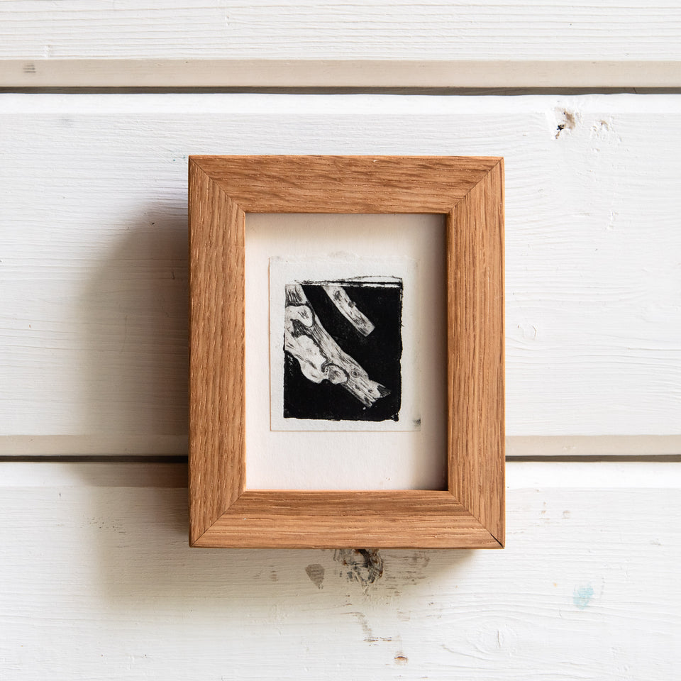 “Lichen on a Stick” Tetra Pak Print