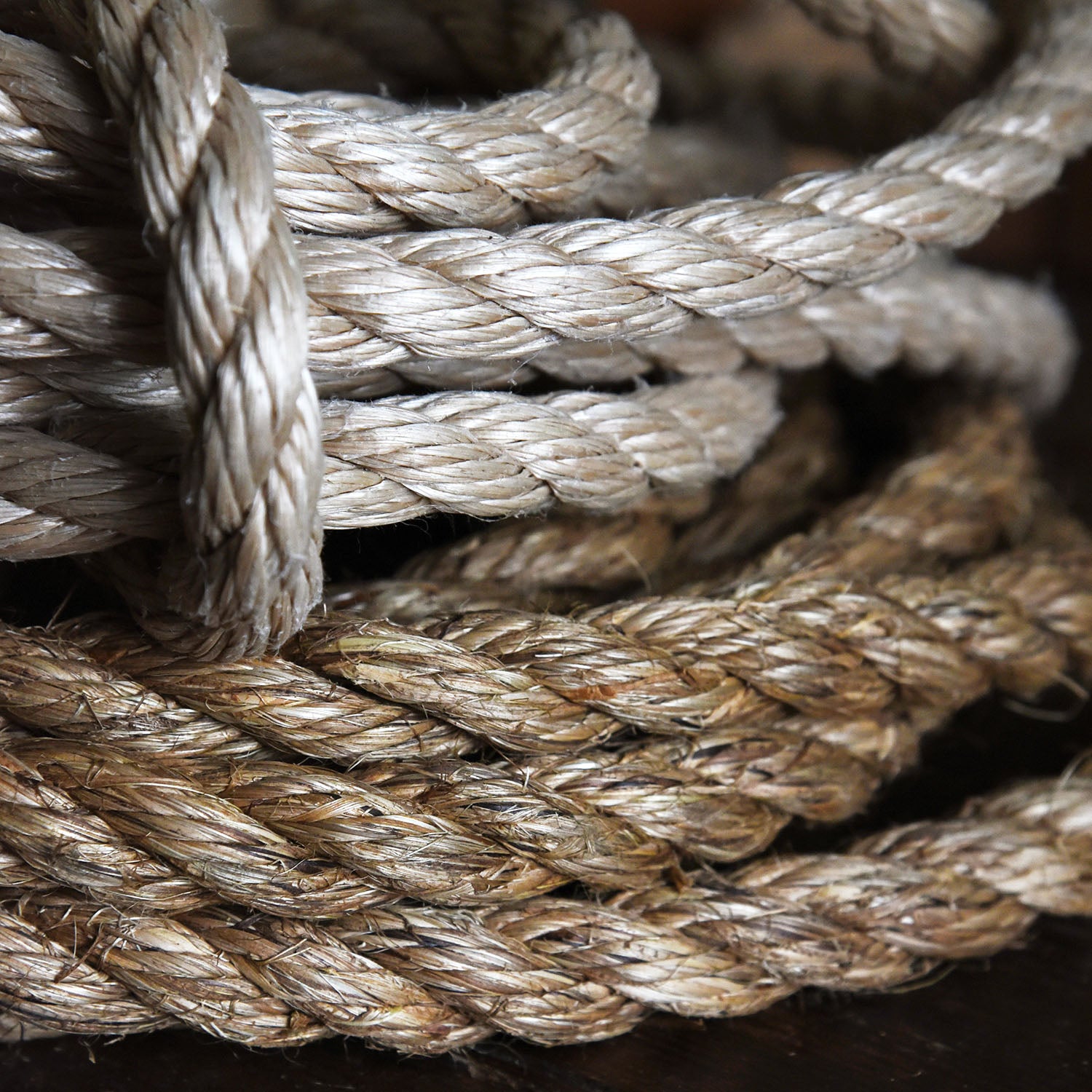 Olde-Fashioned Tree Swing